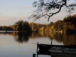 Hariksee